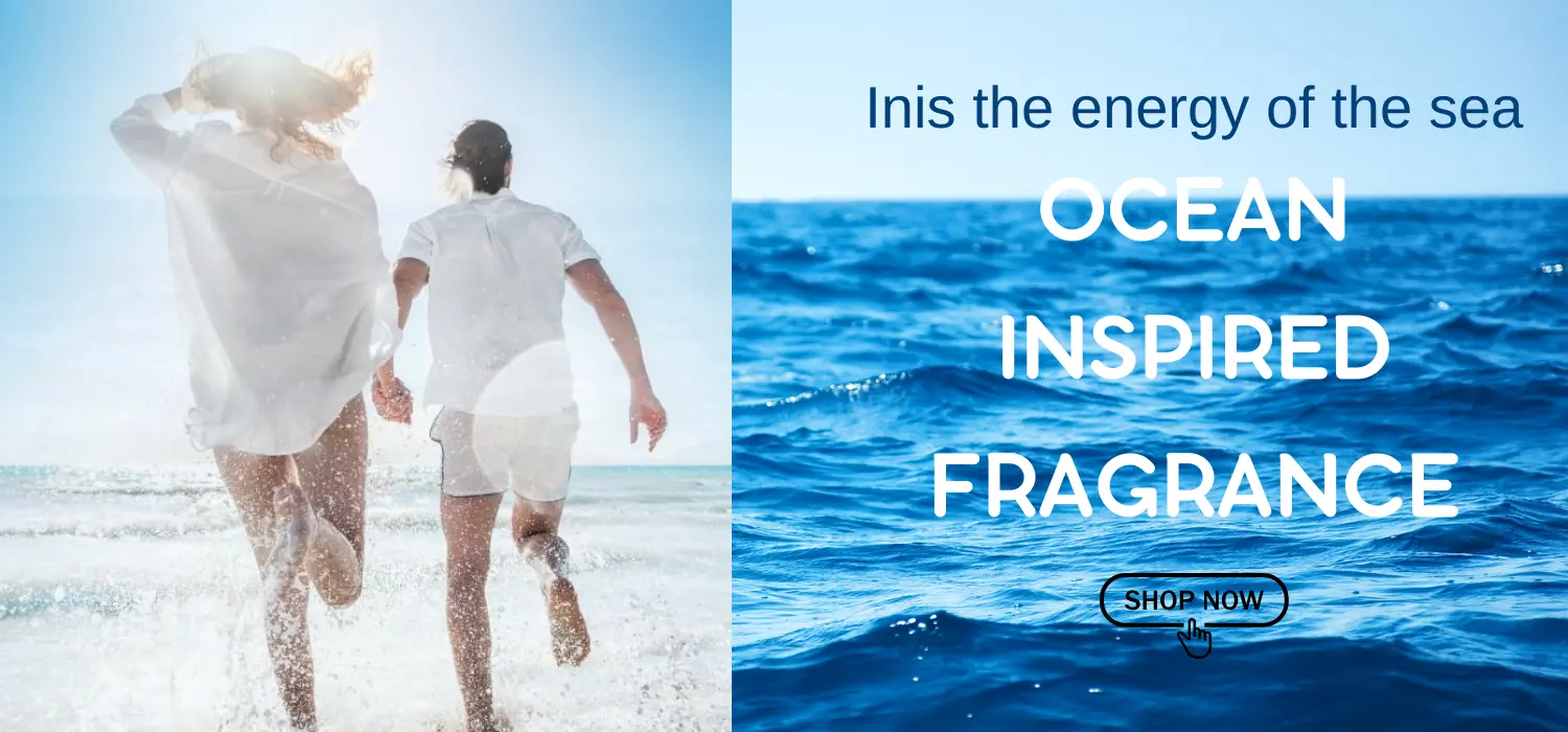 inis banner